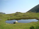 DSC09956 (2)