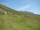 DSC09957 (2)