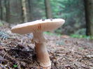 DSC09960