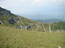 DSC09969 (2)