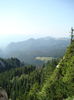 DSC09970