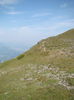 DSC09971 (2)