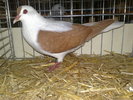 2010-01-16_15-15-26_160120102647