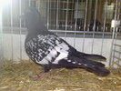 2010-01-16_15-16-32_160120102650