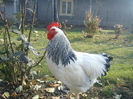 53388169_KZKXJZS2[2]
