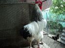 95855992_TQGVRYI[2]
