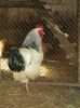 95856196_VGLXFHD3[1]