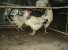 95856240_MMPPTYJ[2]