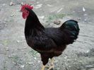 95794810_NIJJUYJ[2]