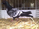 2010-01-16_15-16-42_160120102651