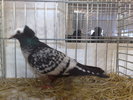 2010-01-16_15-17-14_160120102653