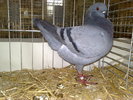 2010-01-16_15-22-16_160120102656