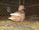 2010-01-16_15-23-14_160120102657