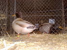 2010-01-16_15-23-28_160120102658