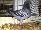 2010-01-16_15-24-50_160120102660