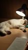 20140916_214411_Richtone(HDR)