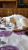 20140809_191114_Richtone(HDR)