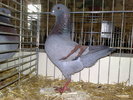 2010-01-16_15-25-16_160120102662