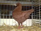 2010-01-16_15-25-24_160120102663