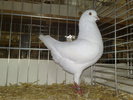2010-01-16_15-25-38_160120102664