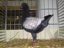2010-01-16_15-25-52_160120102665