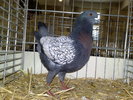 2010-01-16_15-26-12_160120102666