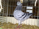 2010-01-16_15-26-42_160120102667