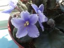 20130615_095505