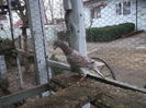 Picture 222