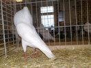 2010-01-16_15-28-56_160120102674