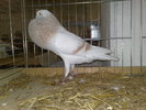 2010-01-16_15-31-30_160120102682
