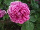 DSCF5394
