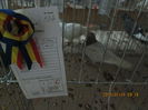 IMG_0661[1]
