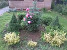 WP_001080