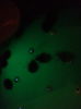 20150122_205547