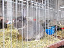 DSCN0267