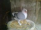 Imag 012827