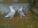 Imag 012833