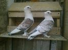 Imag 012843