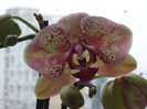 DSC02282