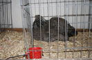 IMG_0327 - Copy