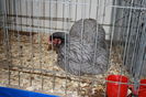 IMG_0328 - Copy