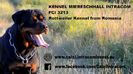 rottweiler miereschhall intracom