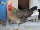 DSC05126