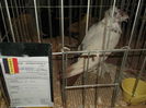 Picture 4765