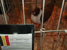 Picture 4767