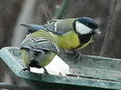 DSCN0506