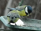 DSCN0507