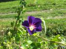 20140918_112058