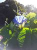 20140918_112224